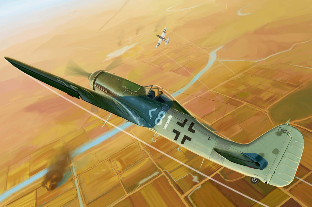 Focke Wulf FW 190D-11   81718