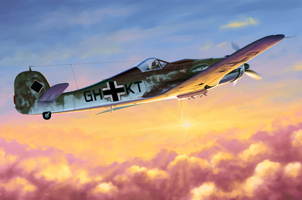 Focke-Wulf FW190D-10  81717