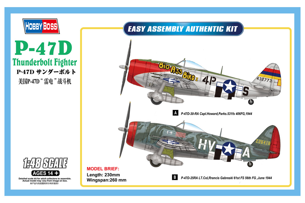 P-47D Thunderbolt Fighter 85804