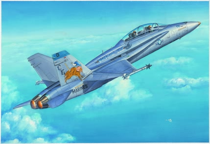 F/A-18D “HORNET”  80322