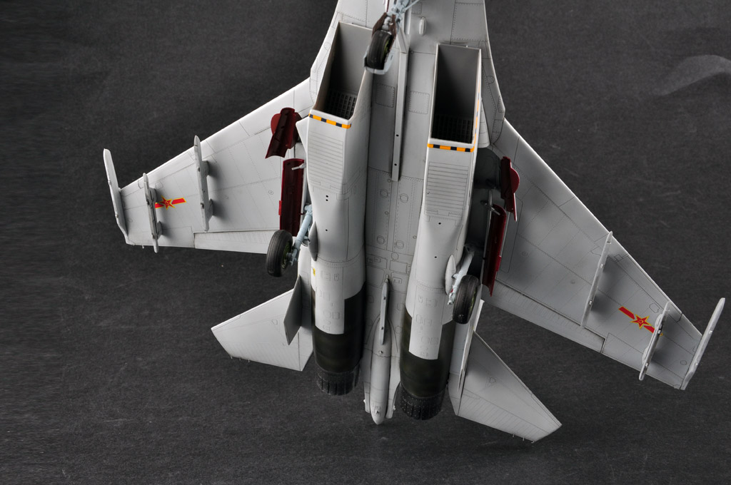Amazon.com: Hobbyboss 1:48 - Chinese J-11B Fighter : Arts