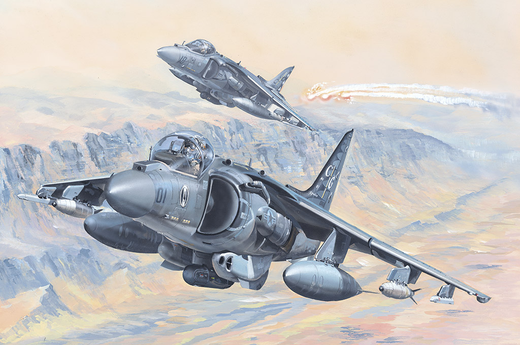 AV-8B Harrier II 81804