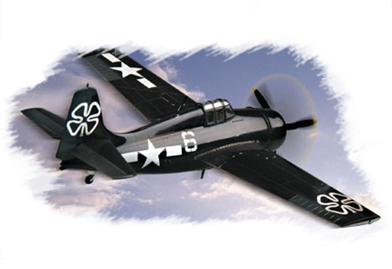 FM-2“野猫“战斗机  80222